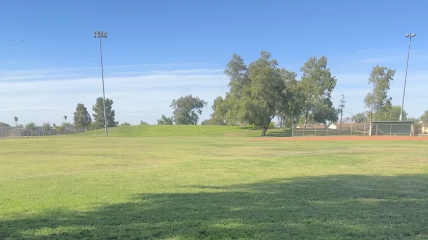 An empty grass outfield with light poles, trees and a backstop in the distance